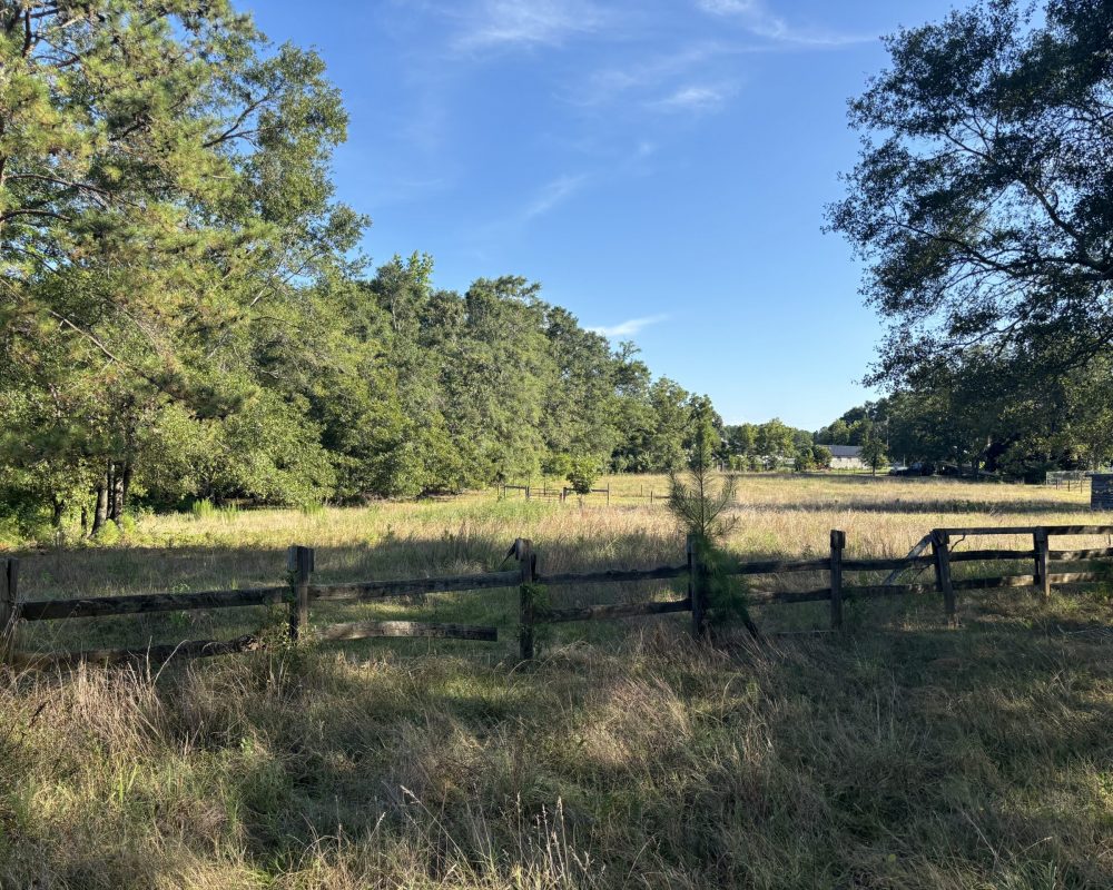 Holiday Dam (51)
