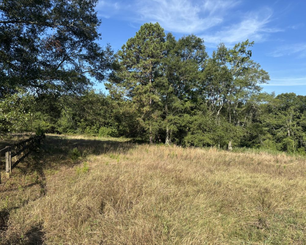 Holiday Dam (53)