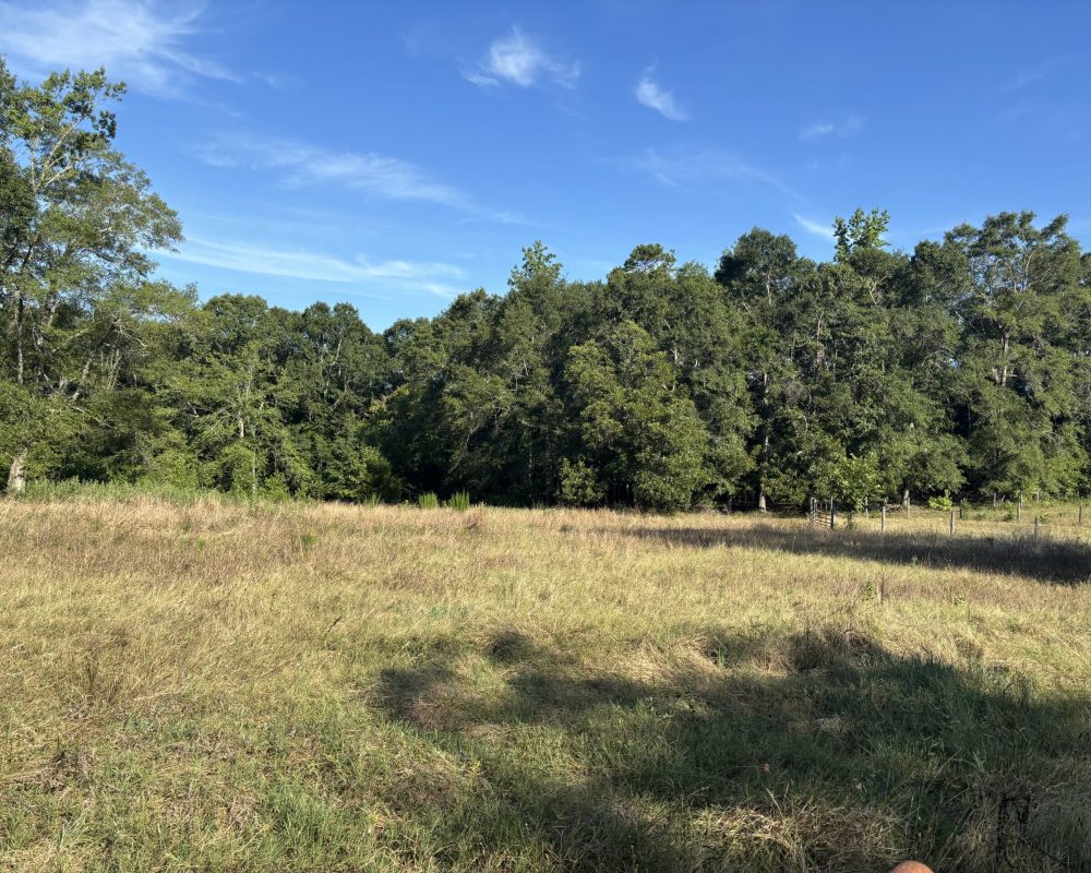 Holiday Dam (54)