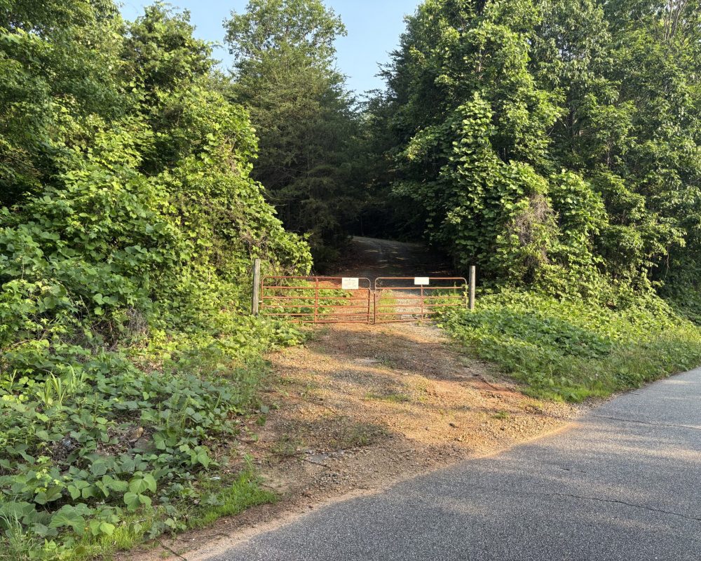 Gibson Road