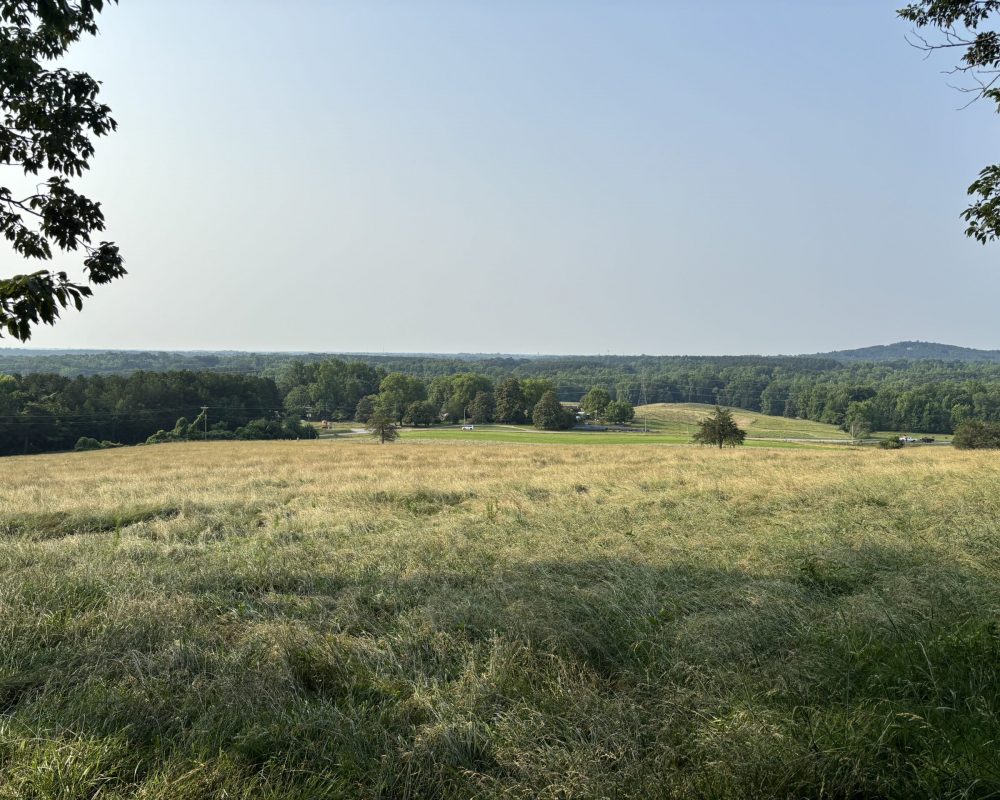 Excellent Home Sites - 59.94 Acres