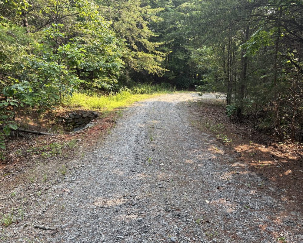 Gibson Road