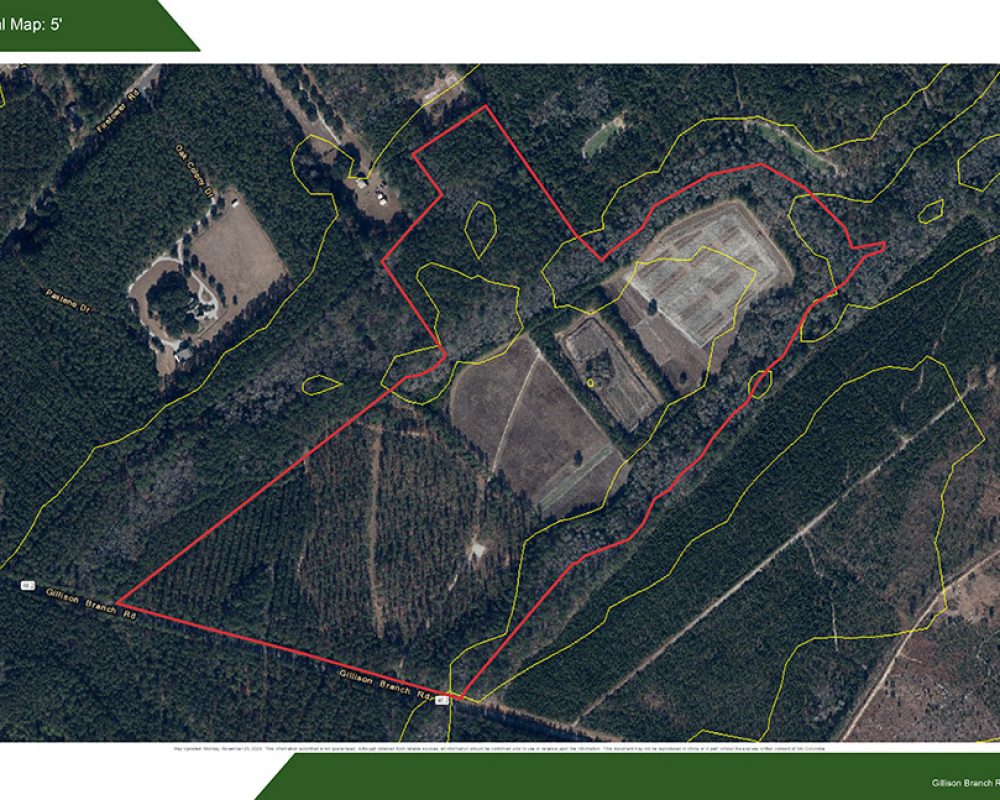 Topo Map -Turkey Pines