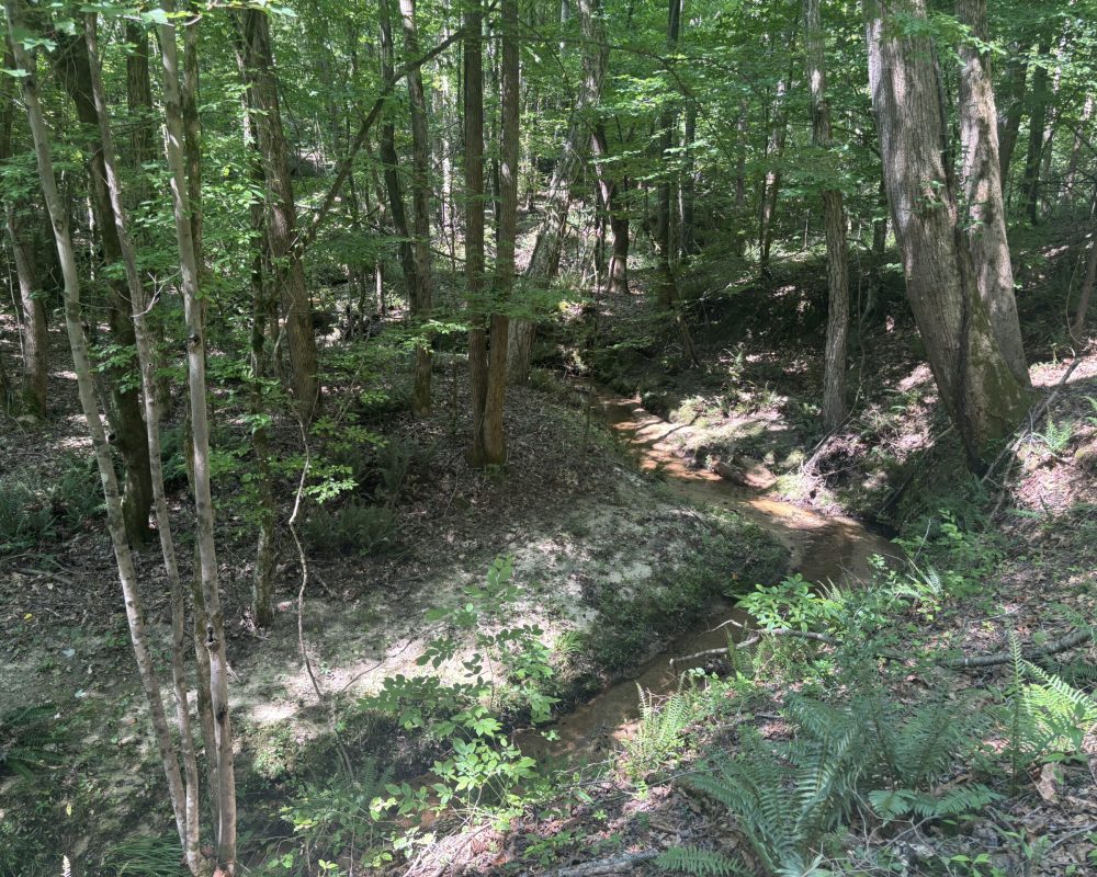 Tract B main photo
