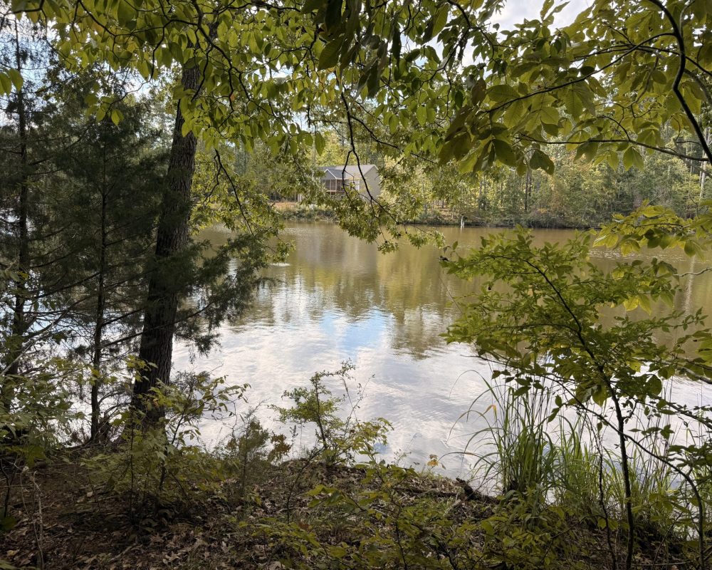Watersedge_(15)