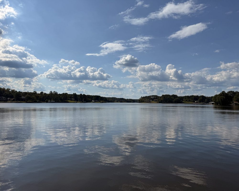 Watersedge_(7)