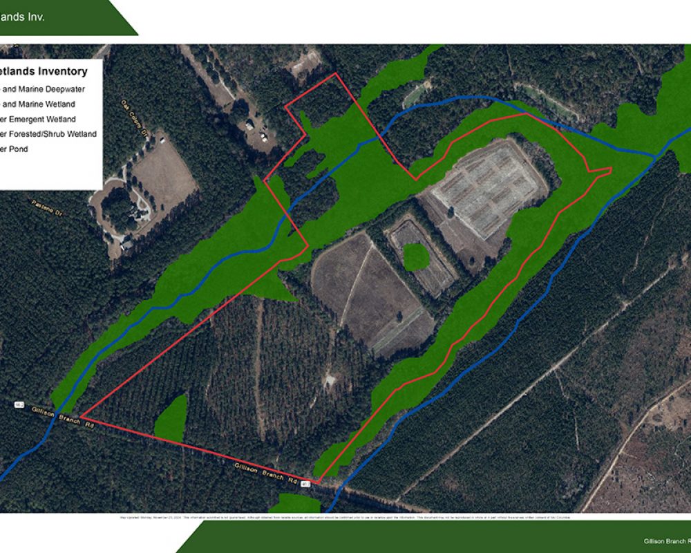 Wetland Map -Turkey Pines