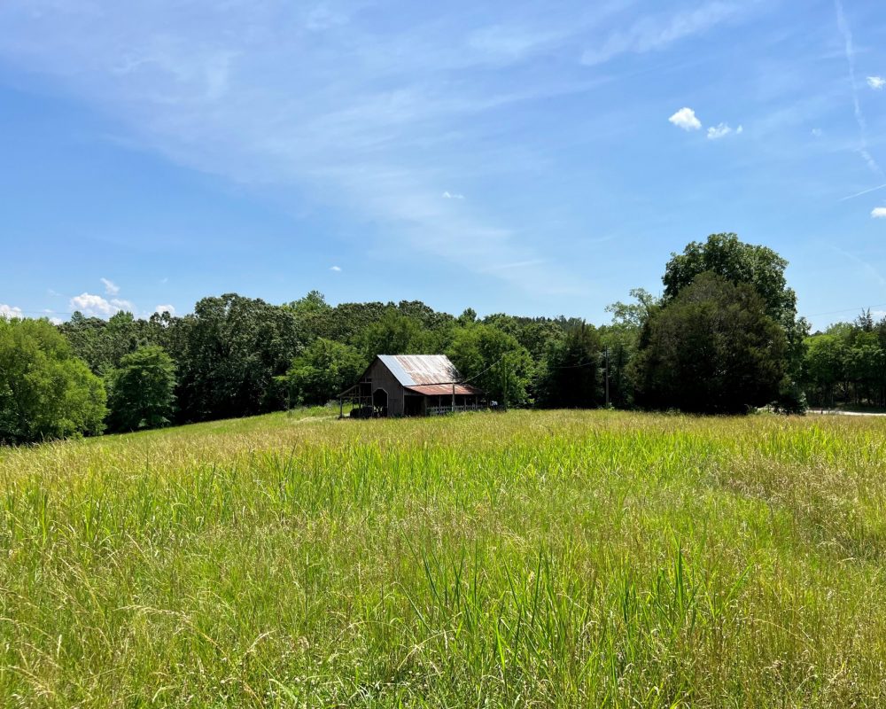 Wilkinsville Highway - pic