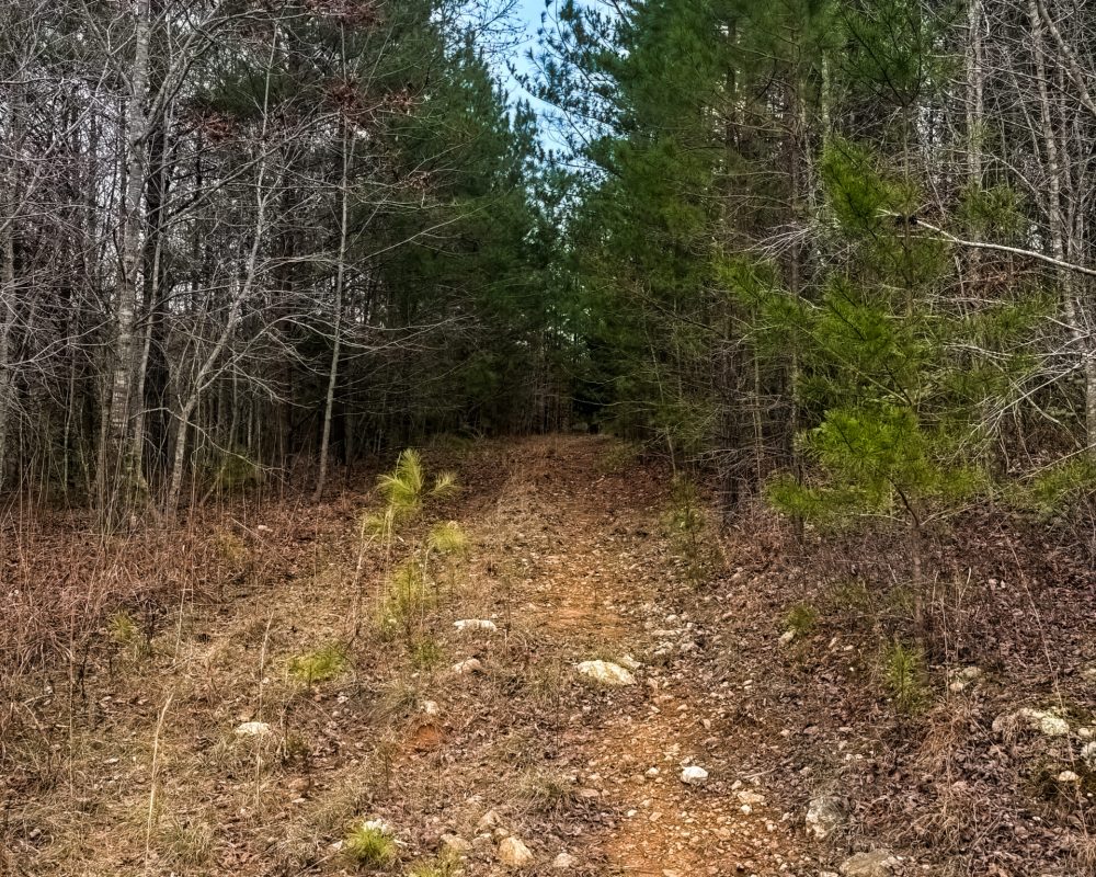Old Chester Rd, Blacksburg