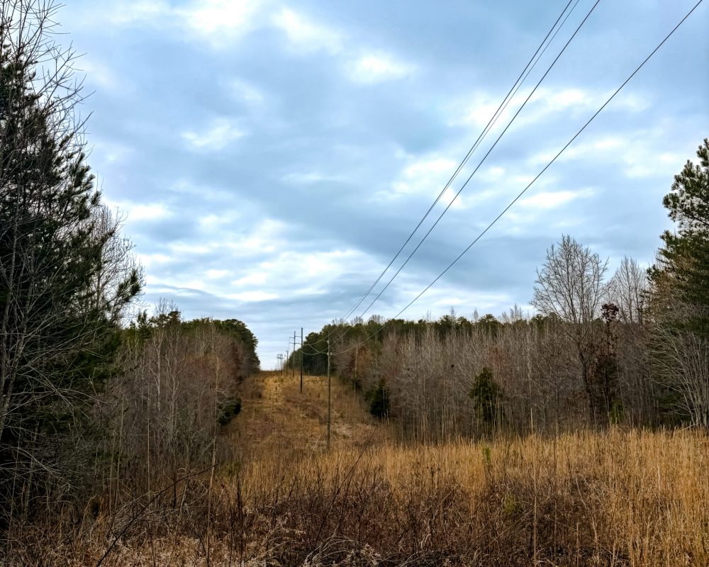 Old Chester Rd, Blacksburg