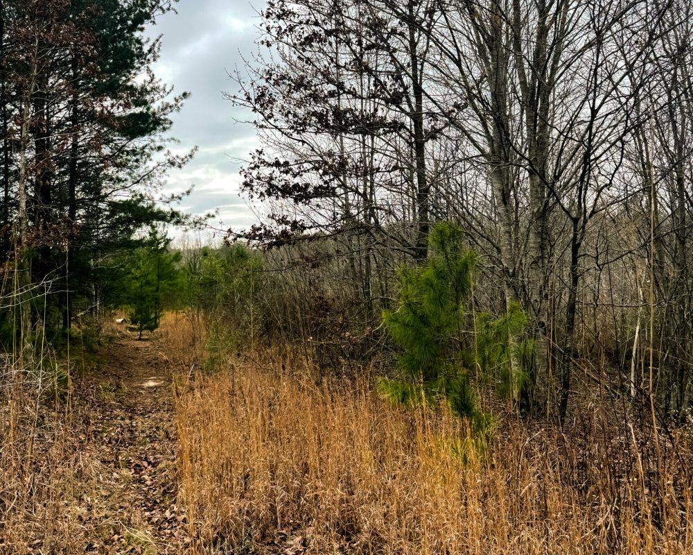 Old Chester Rd, Blacksburg