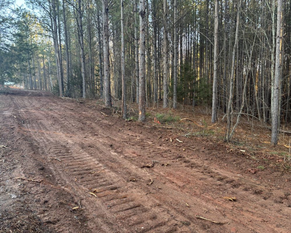 hillside new road (4)