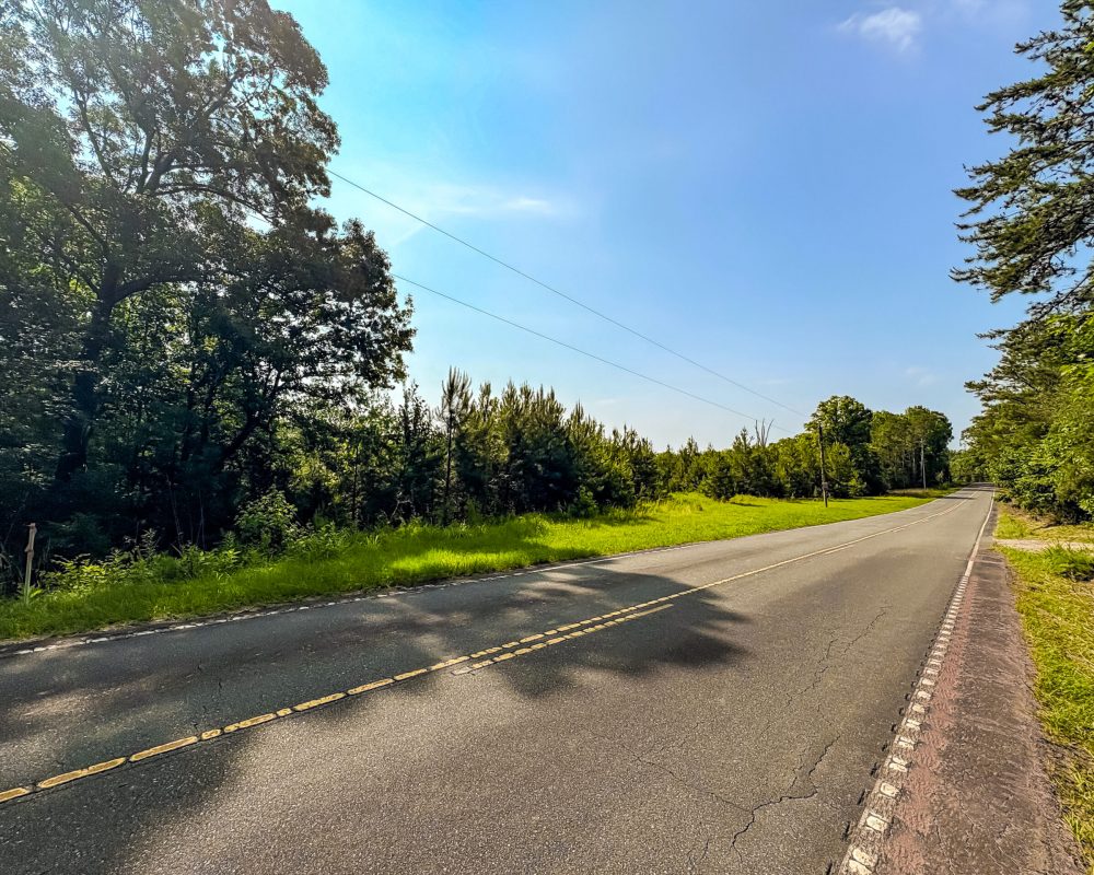 Jones Ford Rd  3