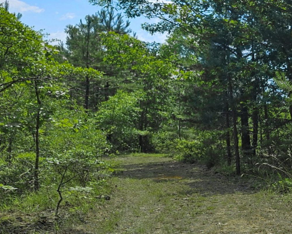 Jones Ford Rd  4