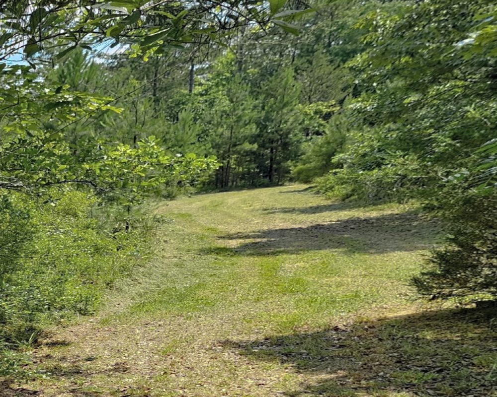Jones Ford Rd  6