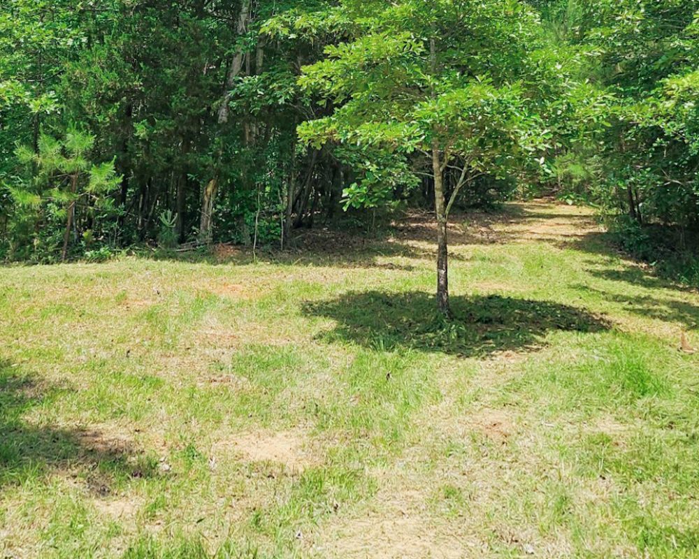 Jones Ford Rd 7